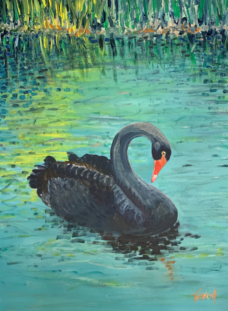 Black Swan - Thimmesch Studio
